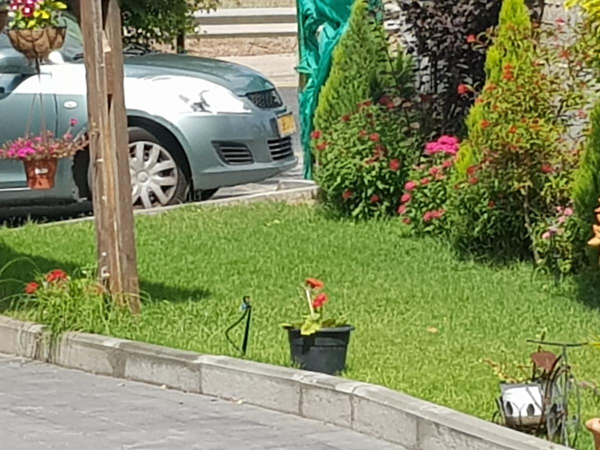 Giv'at Ada A Pastoral B & B المظهر الخارجي الصورة
