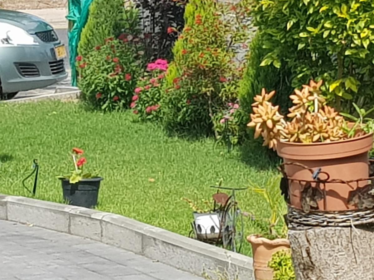 Giv'at Ada A Pastoral B & B المظهر الخارجي الصورة