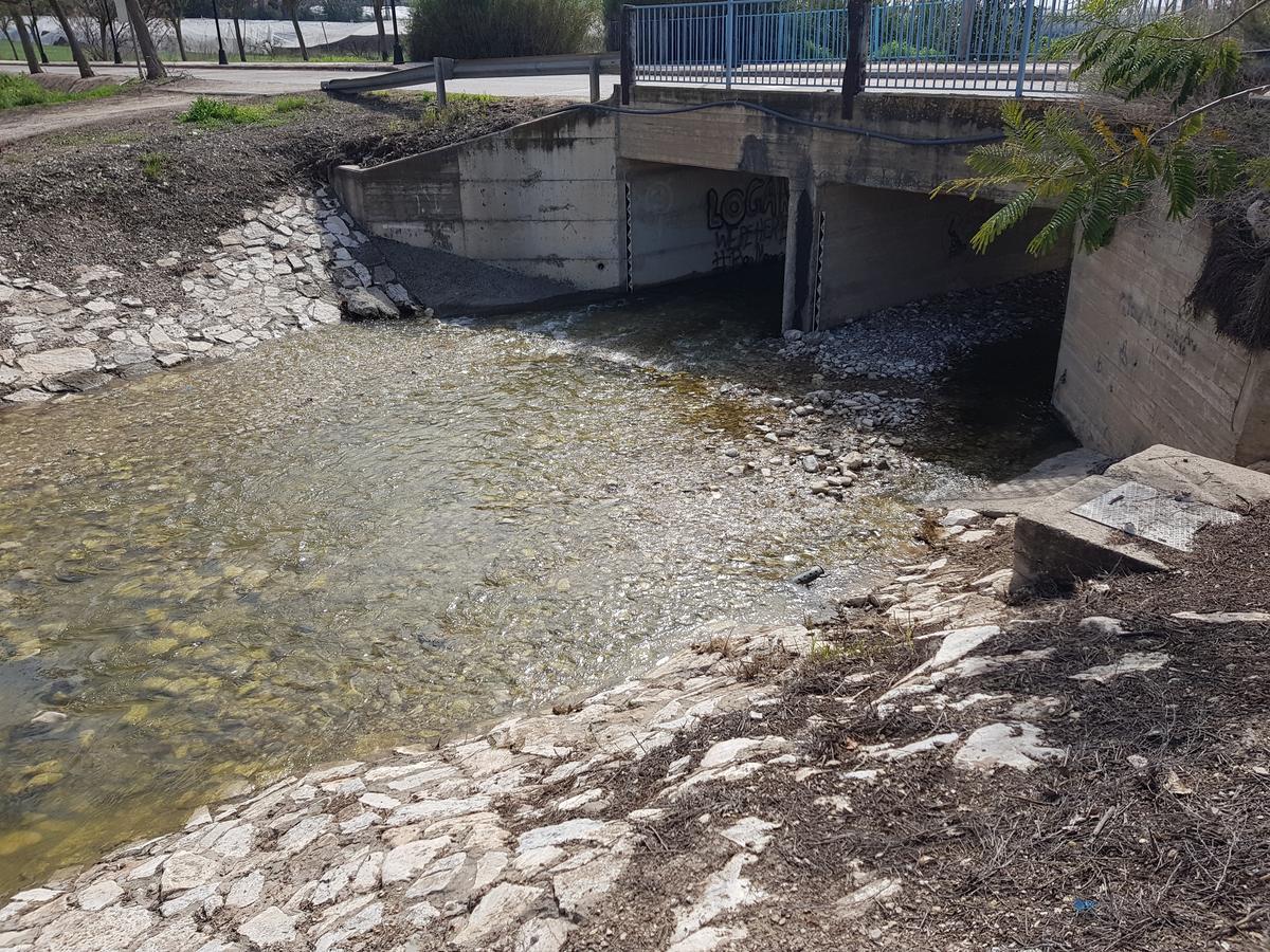 Giv'at Ada A Pastoral B & B المظهر الخارجي الصورة