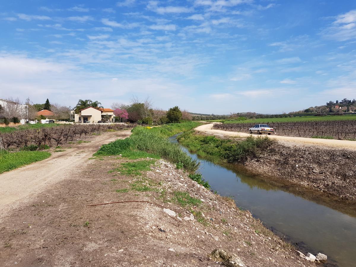 Giv'at Ada A Pastoral B & B المظهر الخارجي الصورة