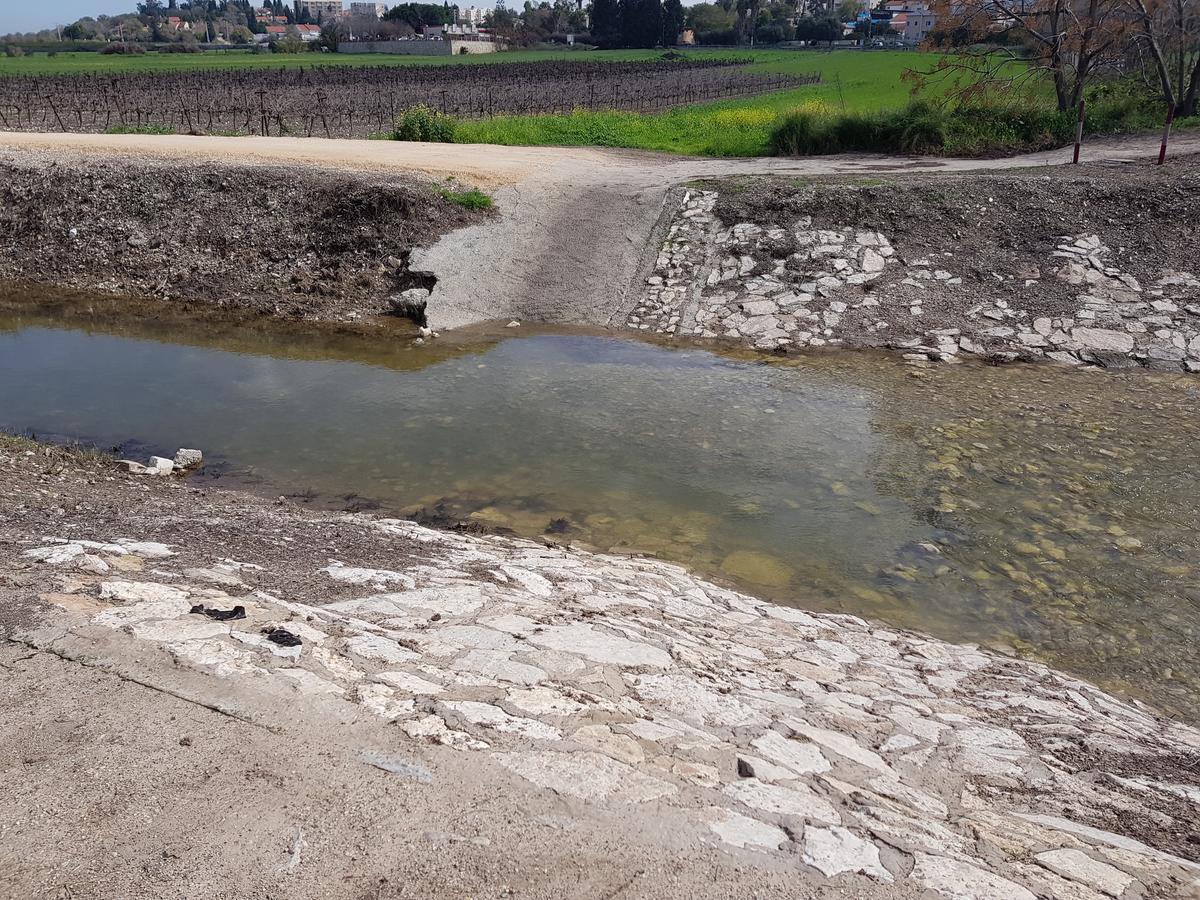 Giv'at Ada A Pastoral B & B المظهر الخارجي الصورة