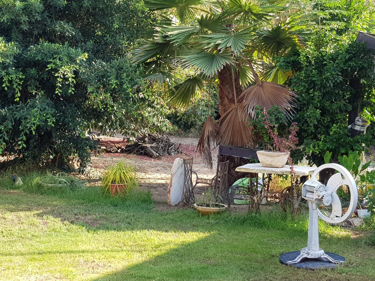 Giv'at Ada A Pastoral B & B المظهر الخارجي الصورة